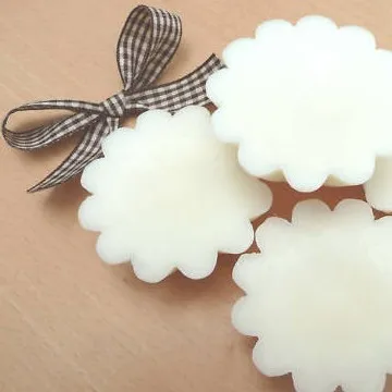 100% Natural Scented Paraffin Soy Wax Tarts in Different Figures 