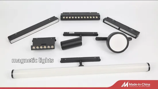 Silicone Flexible DC48V LED Magnetic Track Light Neon Flex Chandelier Pendant Light 