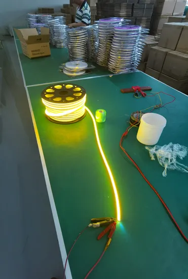 DC12V/24V/ AC220V Waterproof IP67 Outdoor All in on Silicone LED Strip Neon Integrated Extrusion Moulding Neon Rope Lights for Christmas and Decorative Light 