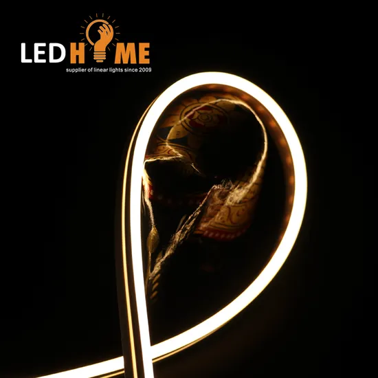 Side View LED Neon Flex Light Waterproof IP67 Pure LED Lighting Silicon Tube 